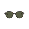 RAY BAN Thalia carey