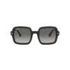 RAY BAN 2188 negro