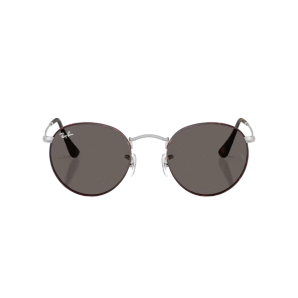 RAY BAN 4315 havana